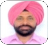 team-member
